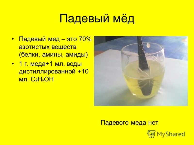 Что такое падевый мед. Падевый мёд. Определение падевого меда. Мед виды падевый. Падевый мед характеристика.