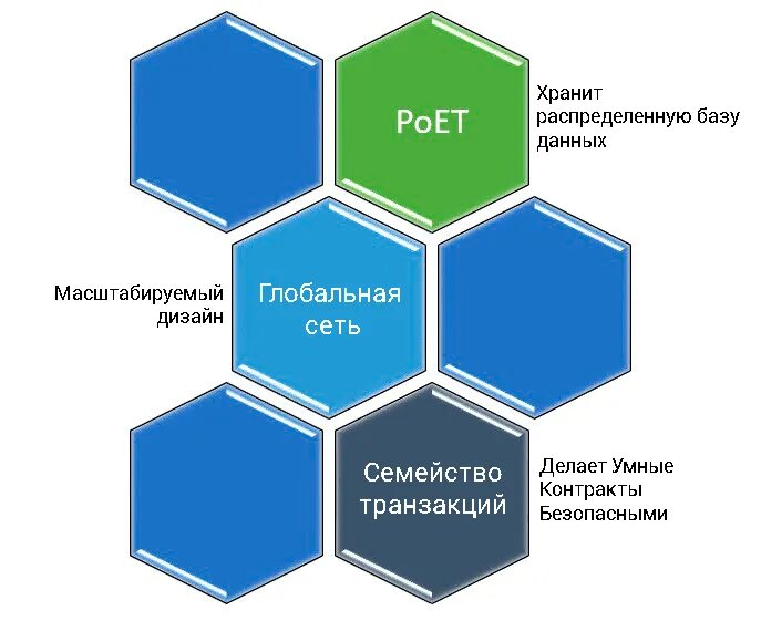 Алгоритмы консенсуса в блокчейне. Консенсус блокчейн. Протоколы консенсуса блокчейн. Механизм консенсуса в блокчейне.