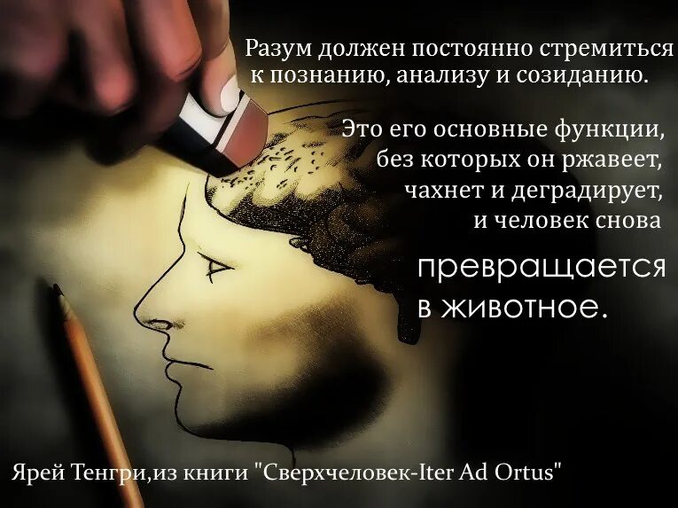 Каким разум должен быть. Ярей тенгри. ярей тенгри кто это. разум должен быть холодным. тенгри цитаты.