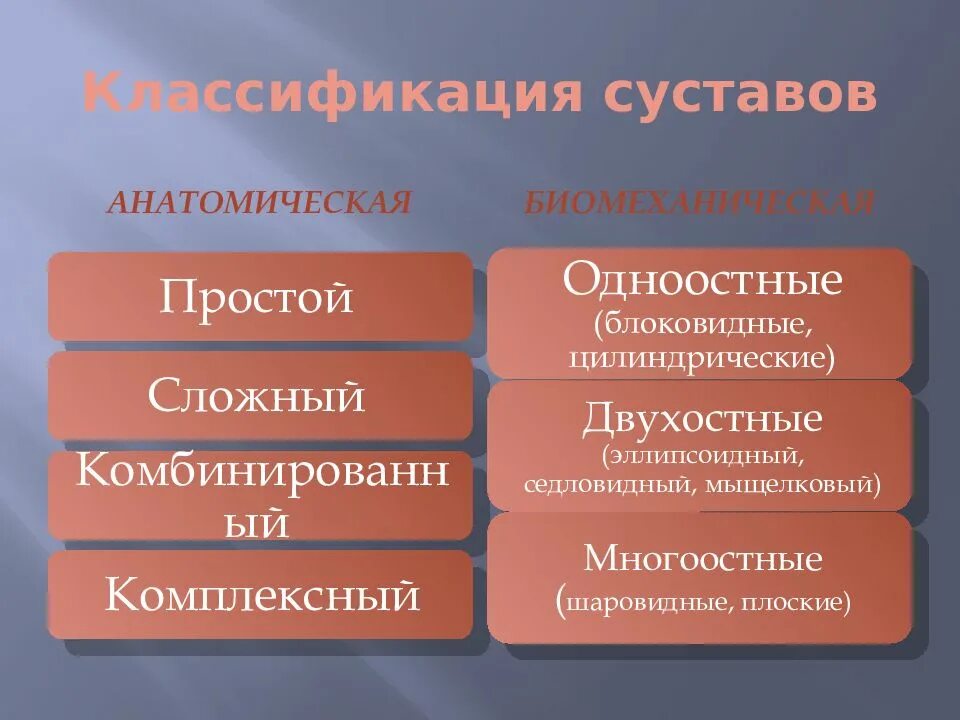 Классификации анатомии