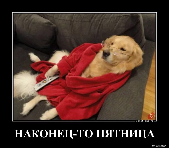 Наконец то утро. Наконец то утро