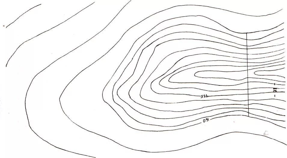 Изолинии рельефа. Изолинии рельефа вектор. План участка в горизонталях. Горизонтали на плане. Горизонтали симферополь