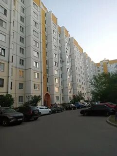 Ул любы шевцовой воронеж