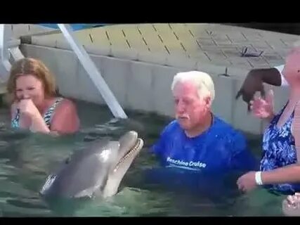Женщина дельфин видео