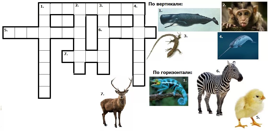 Кроссворд про животных. Сканворд про животных. Кроссворд на тему животные. Кроссворд для детей с ответами про животных. Кроссворд на английском на тему животные