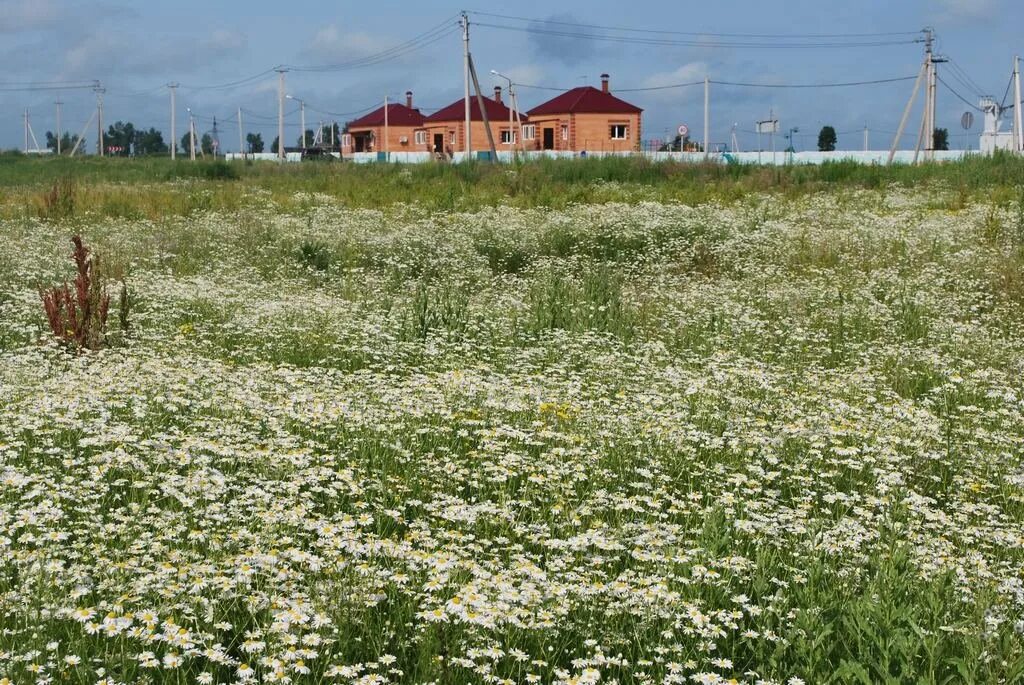 Сайт ивановки