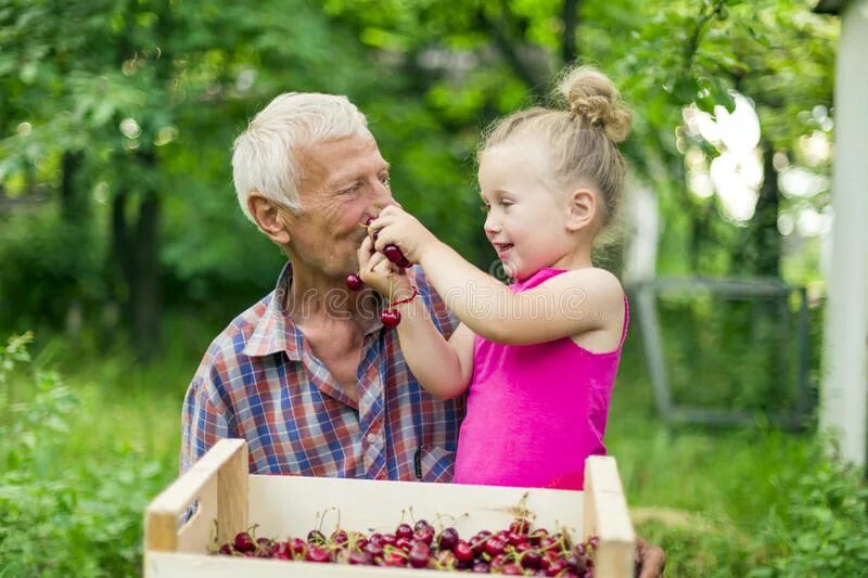 Дедушка и внучка. Дедушка с внучкой в саду. Дедушка с яблоком. Фотосессия дедушка и внучка. Дедушка дает деньги