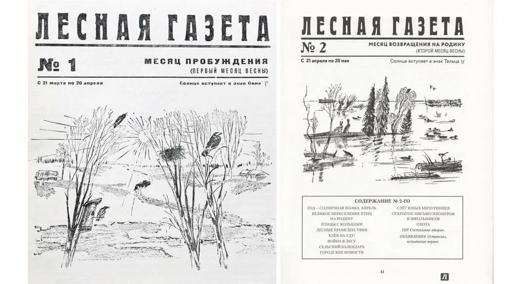 95 Лет Лесная газета в.Бианки. Лесная газета Бианки февраль март. Бианки Лесная газета иллюстрации. Месяца лесной газеты