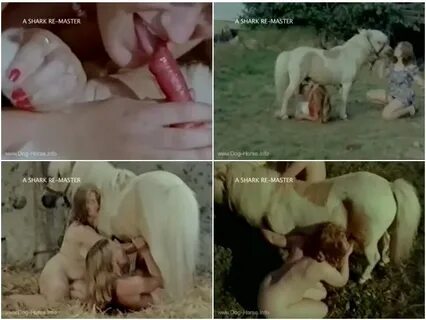 Color climax animal porn. 
