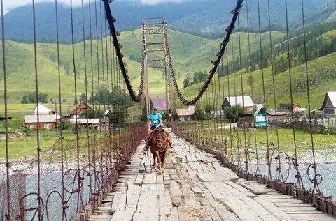 Тюнгуре республики алтай