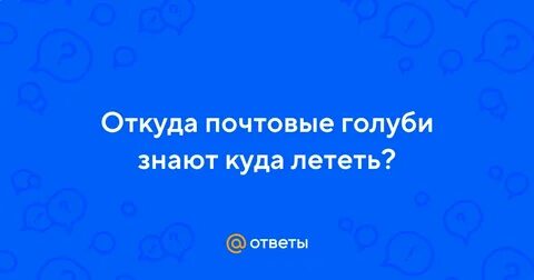 Откуда почтовые голуби знали куда лететь