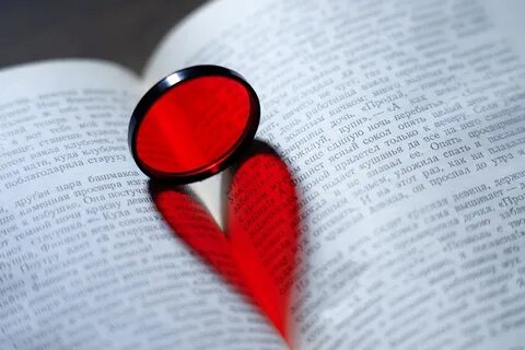 Жизнь в сердце книга