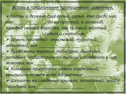 Спешат гости