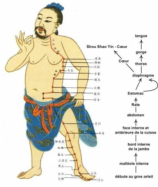 Каналы китайской медицины. Меридианы тела человека китайская медицина. Меридианы в китайской медицине. Меридианы китайская медицина человека схема. Меридианы на теле человека схема китайская.