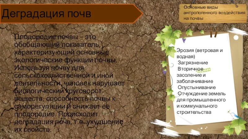 Экологическая роль почв. Деградация почв. Дегумификация почв. Экологические функции почв. Биологическая деградация почв.