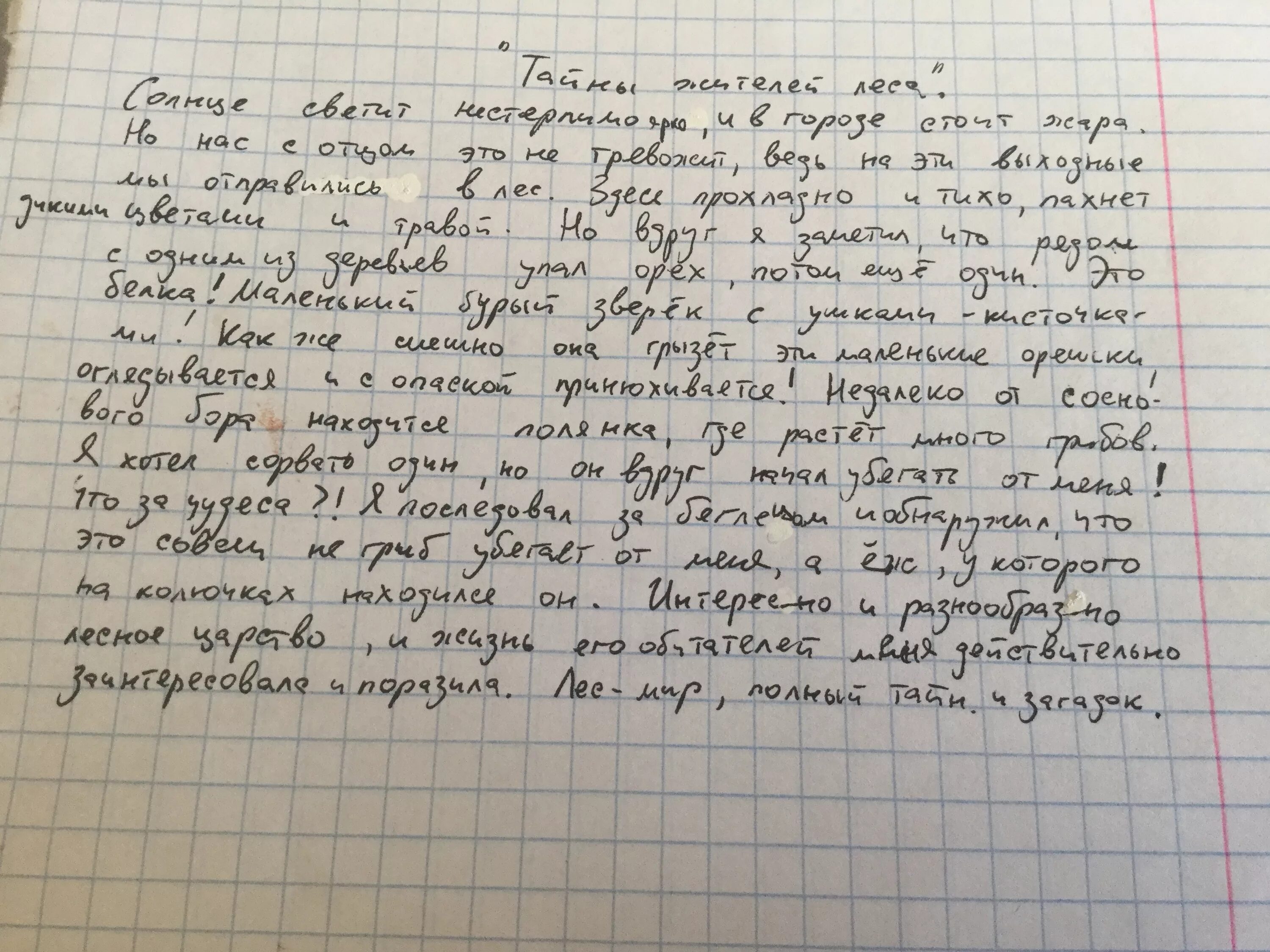 Сочинение 4 класс. Сочинение четвёртый класс. Сочинение для 4 классов. Темы сочинений 4 класс.