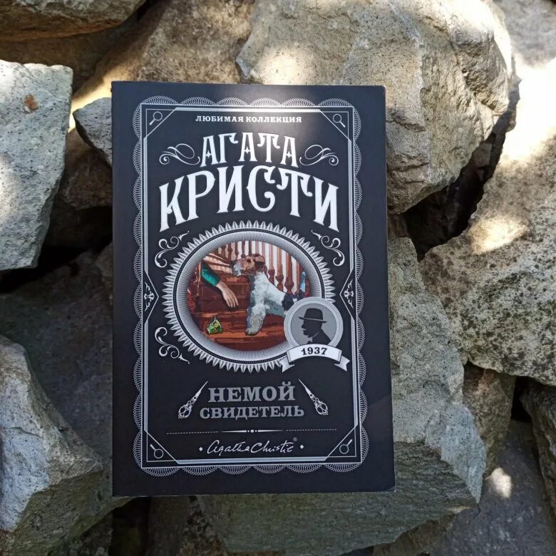 Одни люди уходят другие приходят цитаты. «кошка, которая все видела. Одни уходят другие приходят цитаты. Когда люди уходят остаются вещи безмолвные свидетели. Книга свидетель.