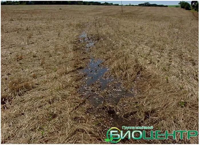 сельхоз хозяйство. экологическое сельское хозяйство. сберегающее земледелие. 02. сберегающее земледелие.