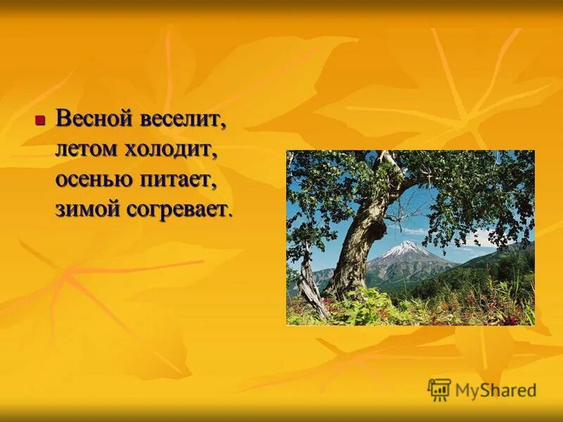 Весной веселит летом холодит осенью питает. Весной веселит летом холодит осенью питает зимой согревает. Весной веселит летом холодит загадка. Весной веселит летом холода.