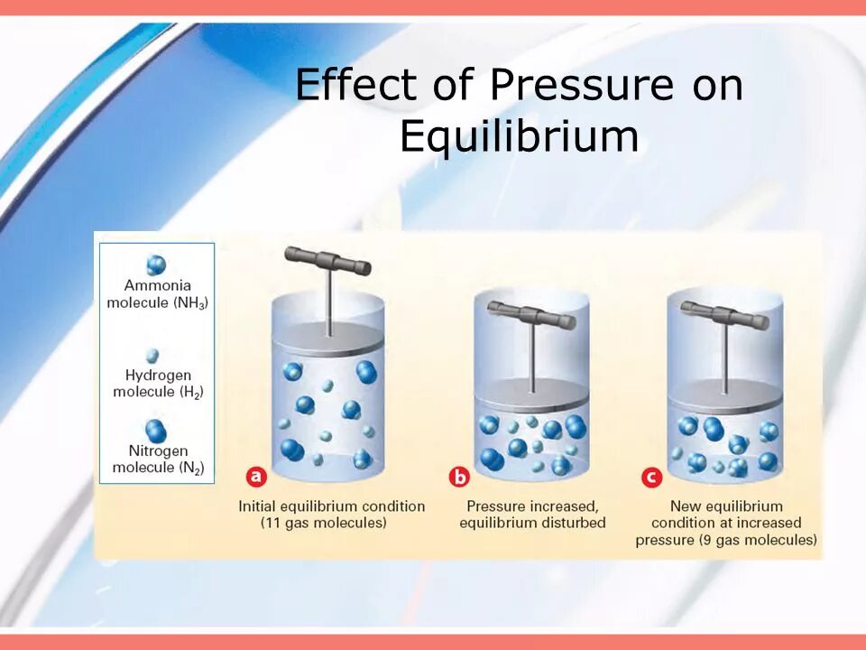 Equilibrium Pressures. Evaporative Equilibrium. Effect of Electrolytes on Chemical Equilibrium. Effect o