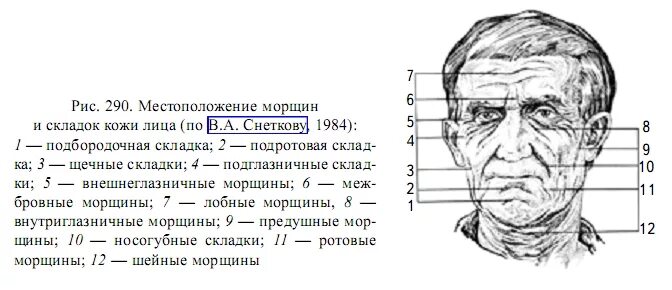 Возраст по лицу программа
