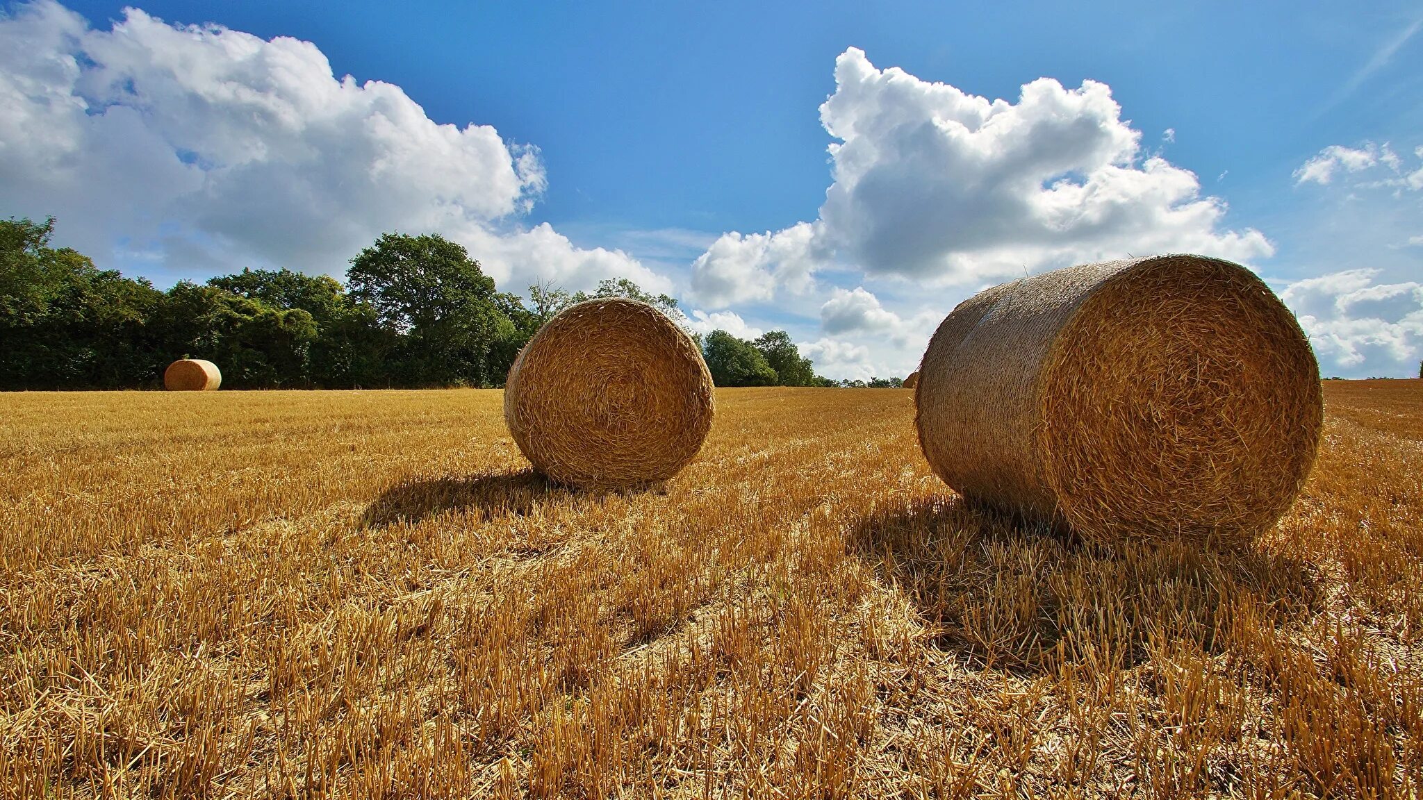 сено в рулонах на поле. талдом стога сена на полях. солома на поле. стог поле сенокос. музей хутор стог сена.