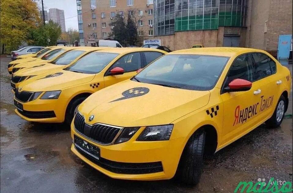 Skoda Octavia желтая. Аренда автомобиля под такси.