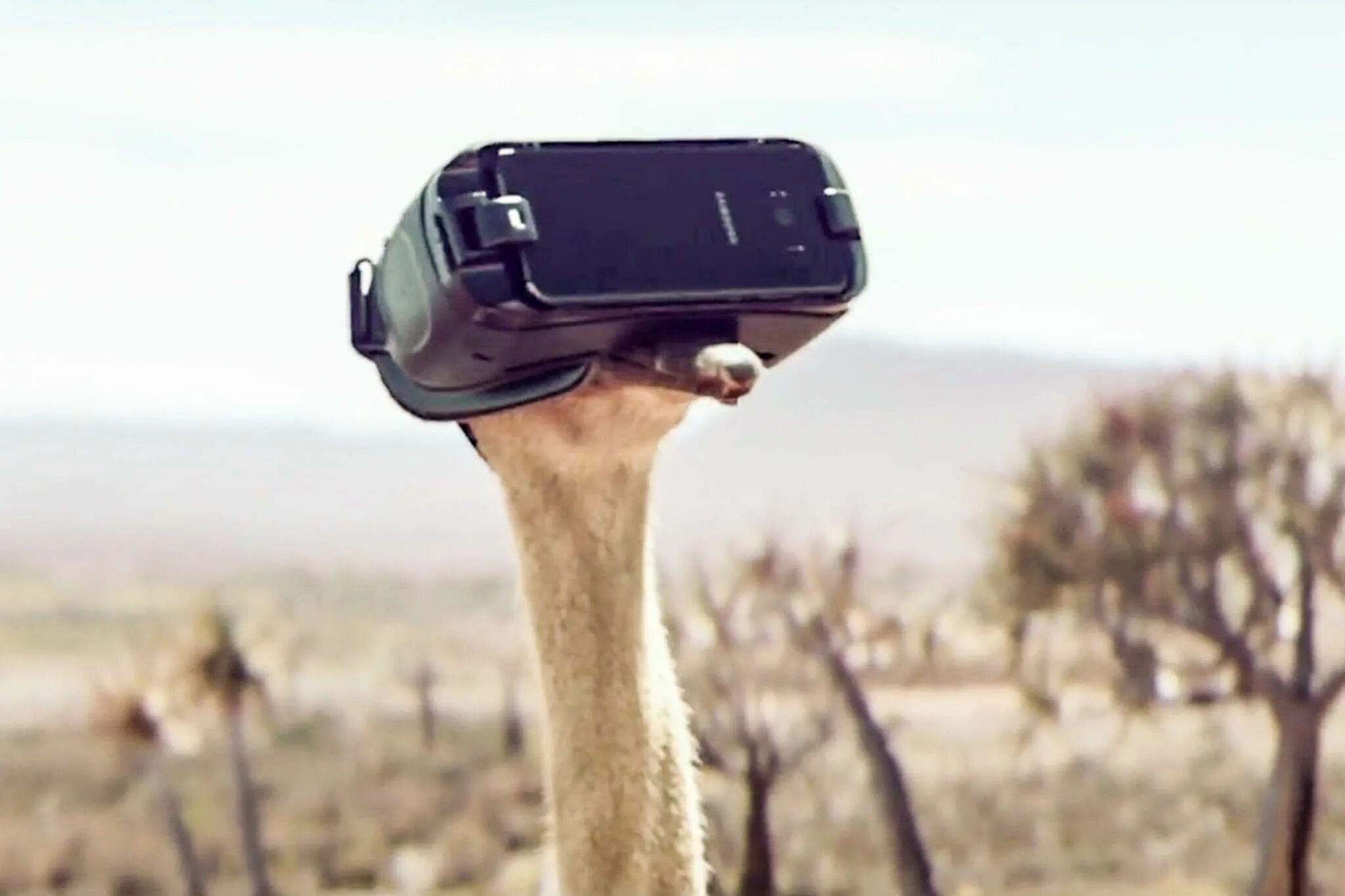 Samsung рекламный ролик. Реклама Samsung Gear VR. VR рекламный ролик. Лучшие рекламные ролики Samsung. Рекламный ролик телефона