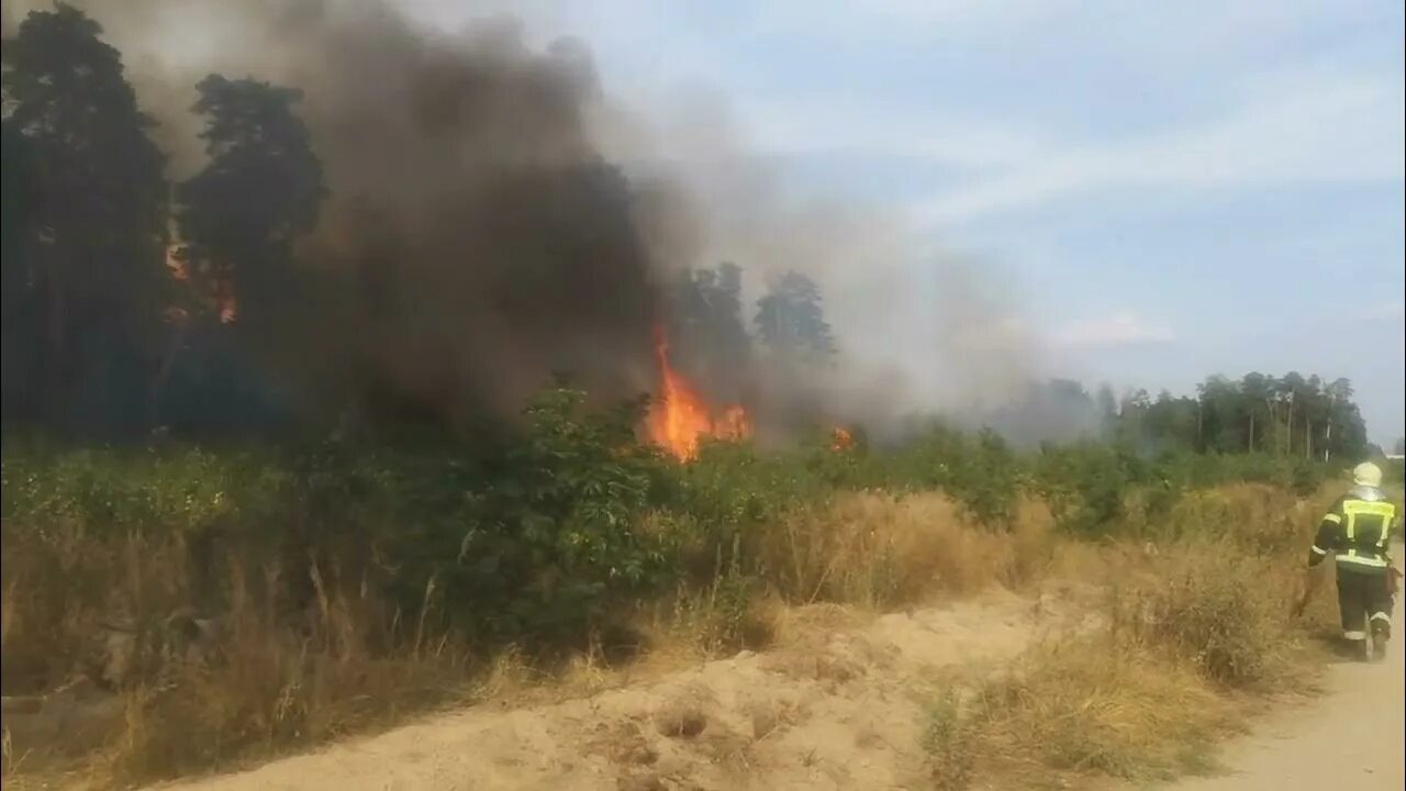 Посадили главу балашихи. Пожары в Балашихе 2022. Горит лес в Балашихе. Пожар в Балашихе вчера. Пожар в Южном округе.