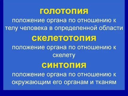 Голотопия