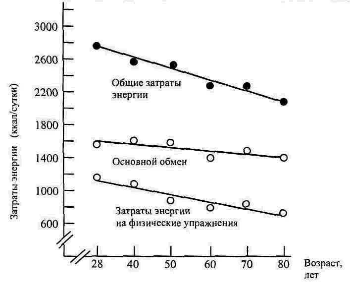 Физические резервы организма. Функциональные резервы организма. График зависимости роста от возраста. Ослабление физиологических функций.