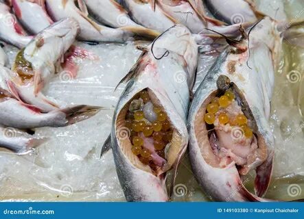 Рыба с яйцами