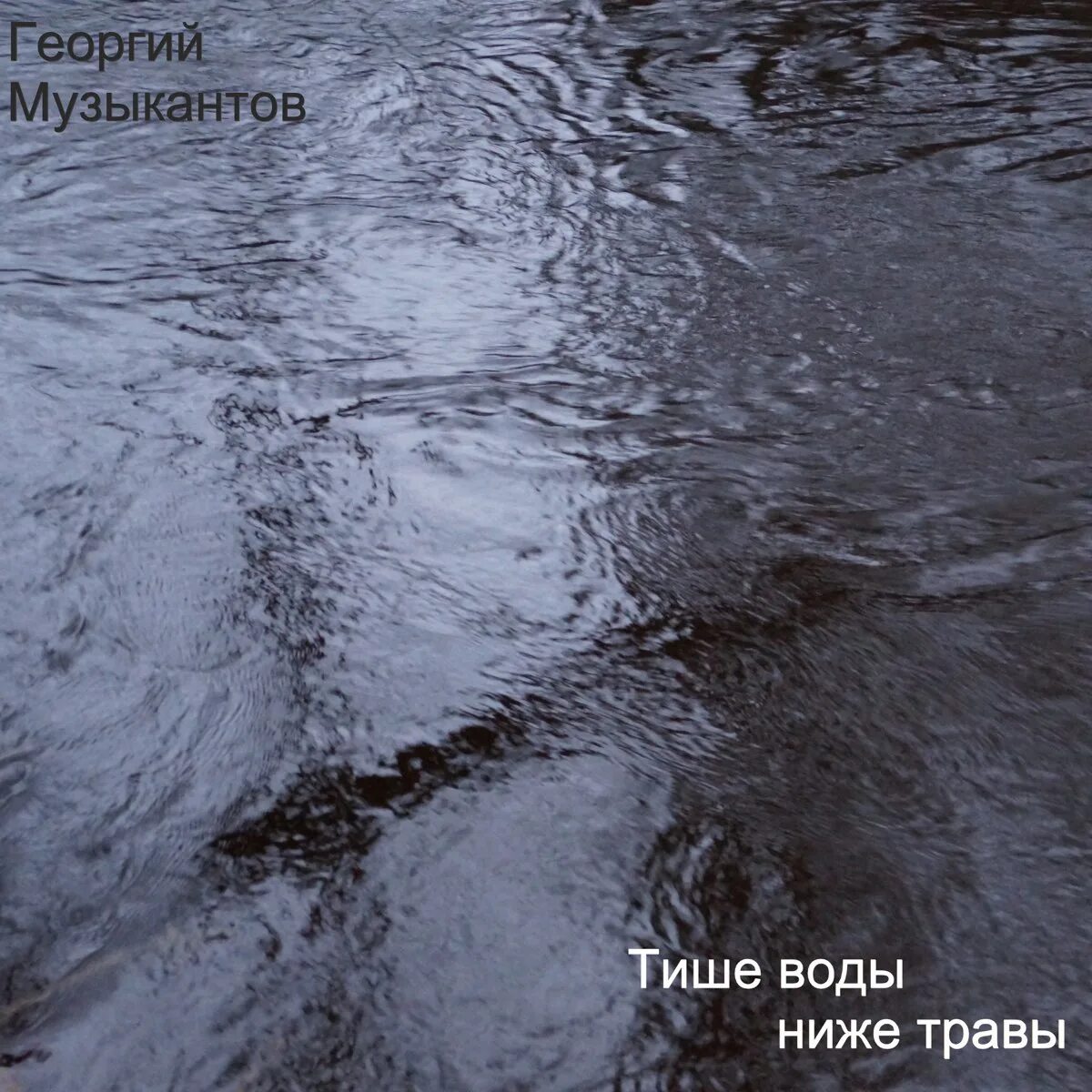 Тише воды ниже травы значение предложение. Тише воды ниже травы. Тише воды. Тише воды ниже травы фразеологизм. Тише воды,ниже воды.