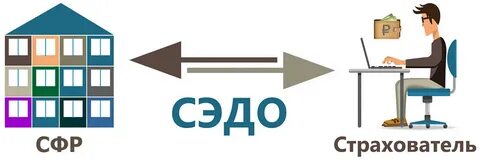 Сэдо поддержка