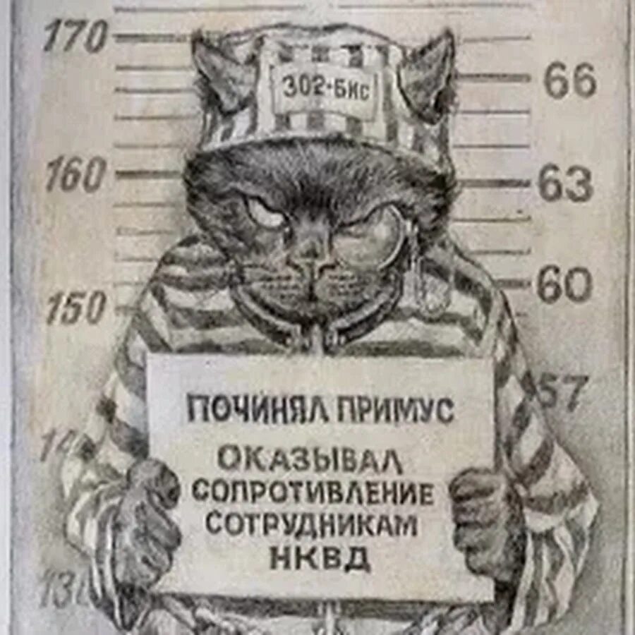 Никого не трогаю починяю примус цитата. А я тут примус починяю. кот бегемот примус починяю. кот починяет примус.