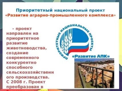 Национальный проект направлен