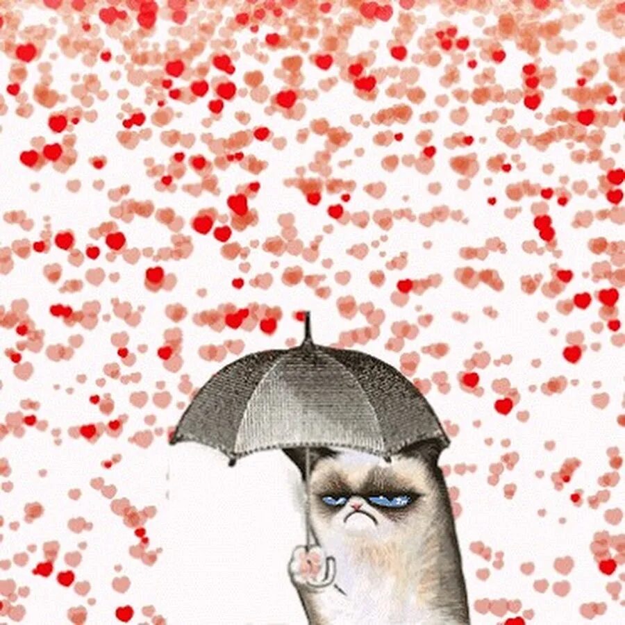14 Февраля. 14 Февраля Мем. Кот под зонтом дождь из сердечек. Смешные валентинки. Ненавижу февраль
