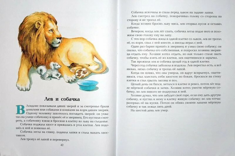 Толстой про собаку. Произведение л н Толстого Лев и собачка. Произведение Льва Николаевича Толстого Лев и собачка. Лев толстой рассказ Лев и собака. Рассказы для детей Толстого Льва Николаевича Лев и собачка.