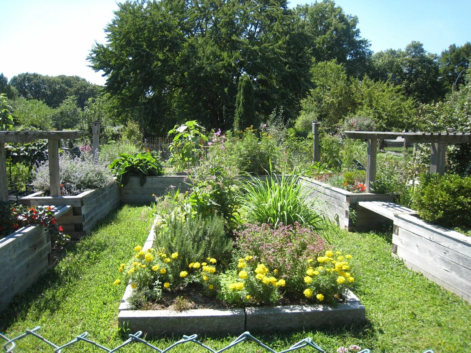 Растительное сообщество сад. Искусственные сообщества сад. Сообщество сад. Сады Банкрофт. Пищевое сообщество сада.