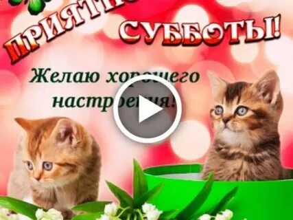 Не смотря на субботу