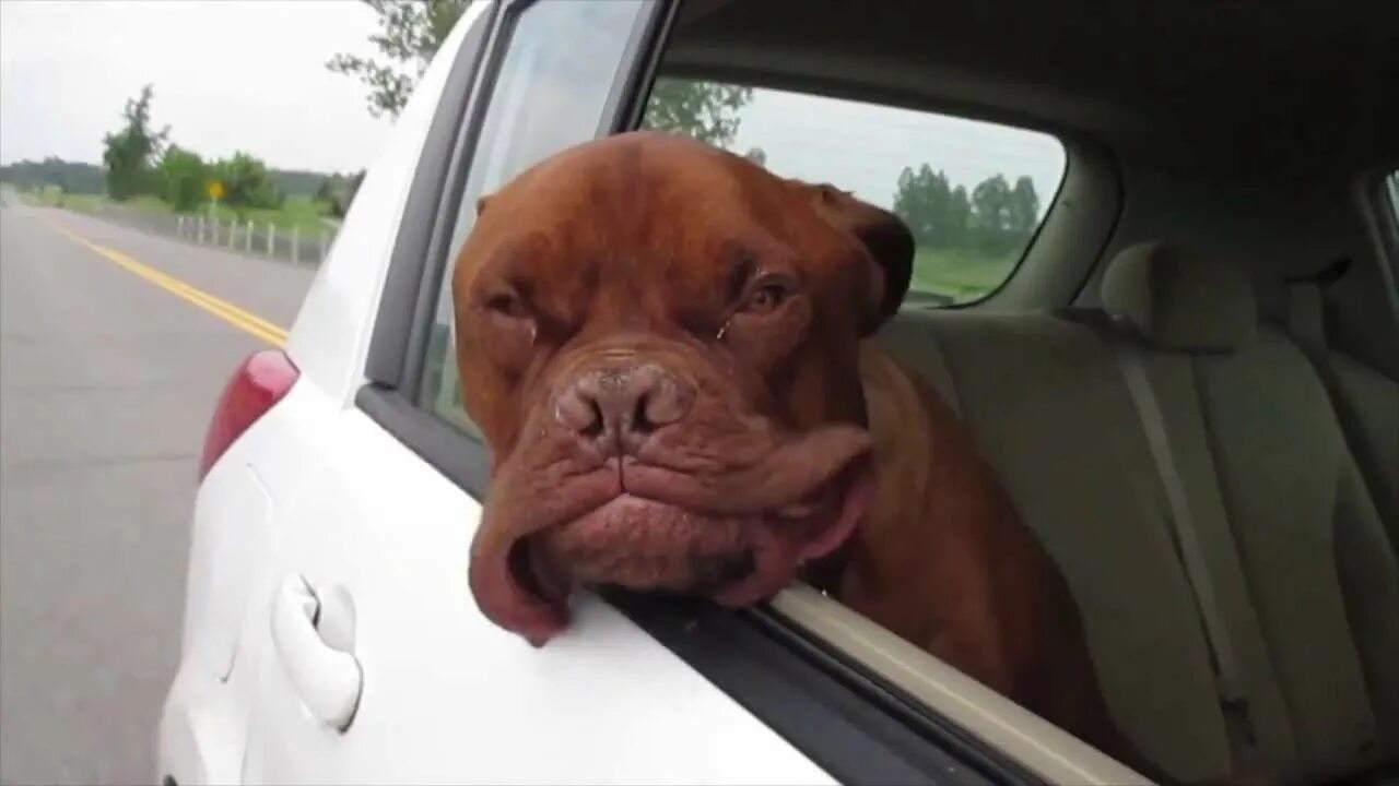 Трясется видео
