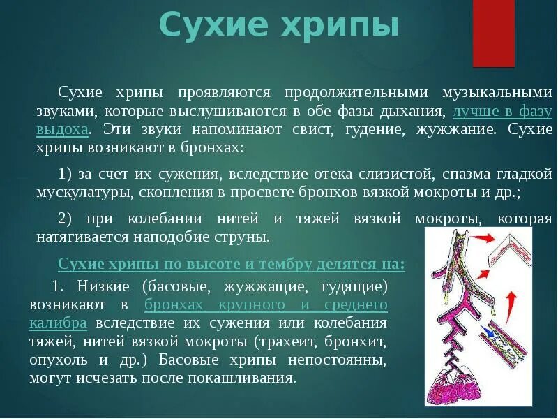 Бронхит шумы. Сухие свистящие хрипы. Сухие хрипы аускультация. Сухие свистящие хрипы в легких. Сухие хрипы при аускультации.