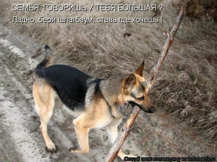 Ладно взяла. Ладно. Слово ладно. Ладно взяла. Мужик привязанный к батарее.