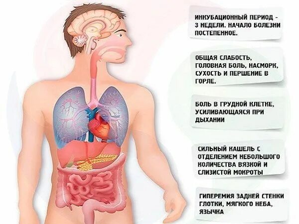 Боль в легком при пневмонии. Симптомы воспаления легких. Болят легкие при простуде.