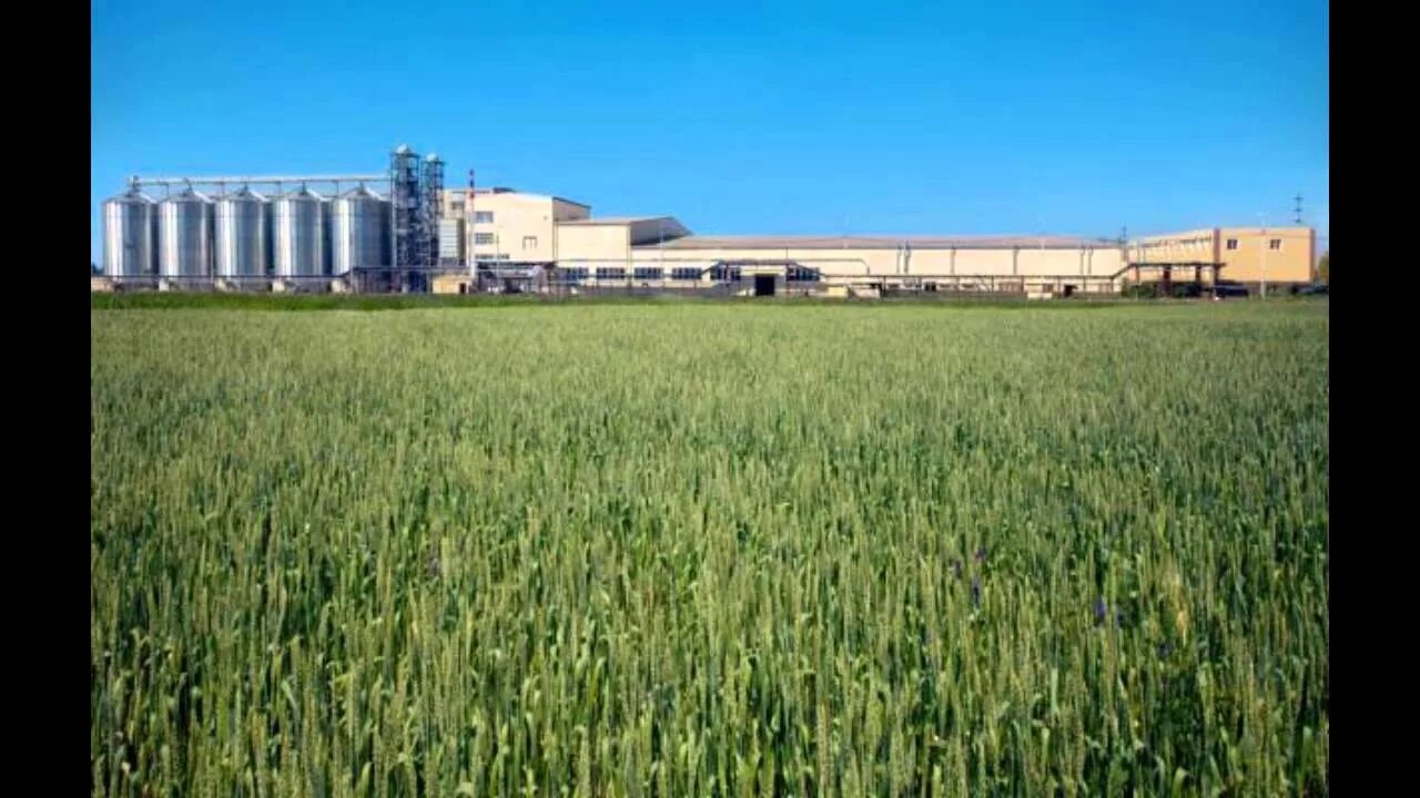 Где агро. Где агро. Ооо гурьевск агро. Свинокомплекс агро белогорье. Где агро.