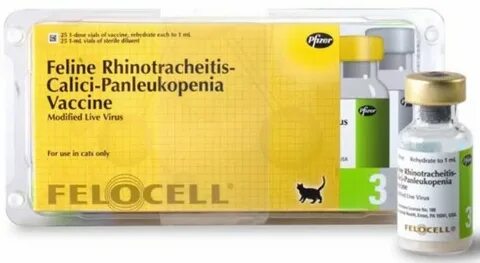 Вакцина фелоцел инструкция