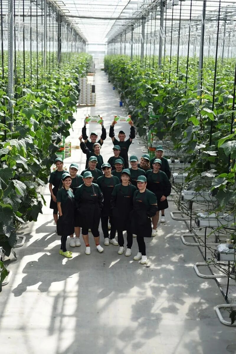 овощевод тольятти