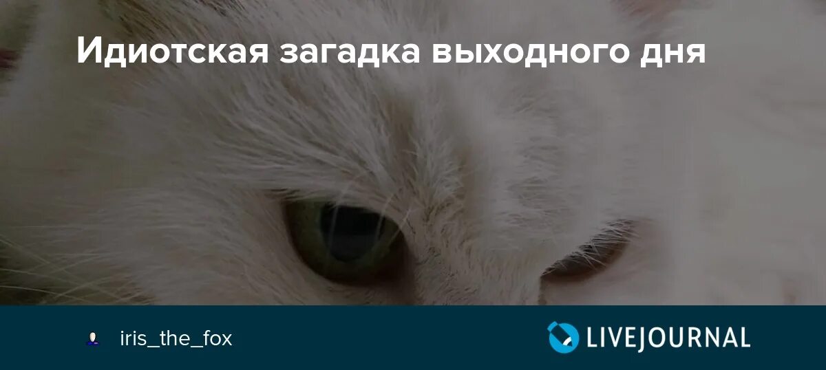 Дурацкие загадки фото. Идиотская загадка Мем. Загадка у Насти 5. Самая нелепая загадка.