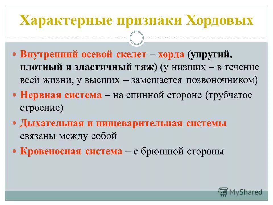 общая характеристика типа хордовые 7 класс биология таблица. хорда скелет. скелет хордовых. сравнительная характеристика класса хордовые. общая характеристика хордовых.