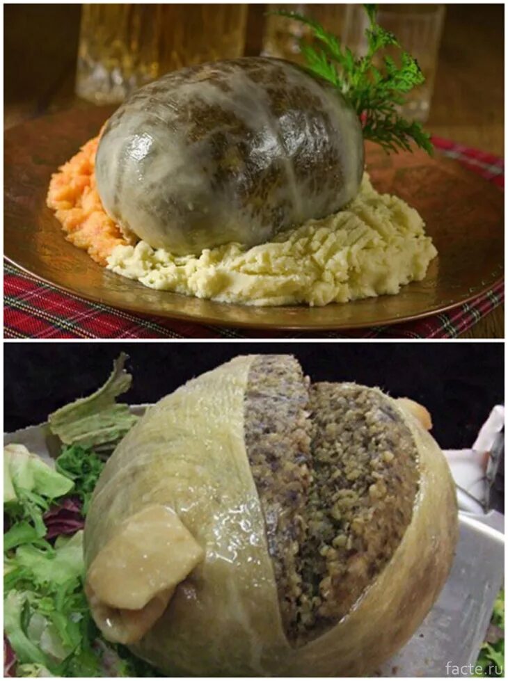 Национальное Шотландское блюдо Хаггис. Хаггис Шотландия. Haggis блюдо Шотландии. Что такое Haggis в Шотландии. Хаггис блюдо шотландское